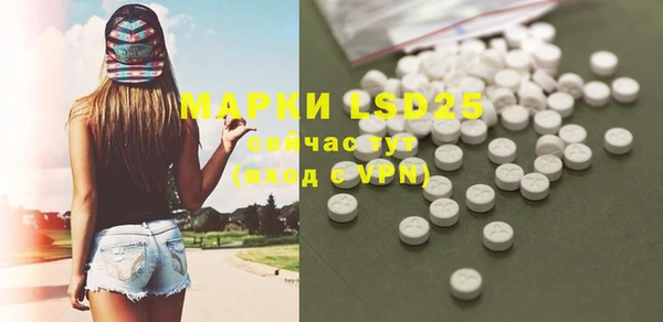 прущий лед Алзамай