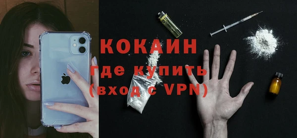 прущий лед Алзамай