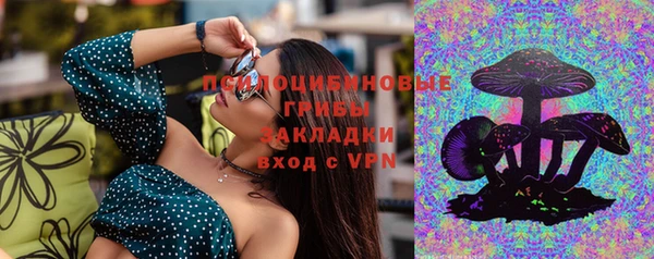 МДПВ Алексин
