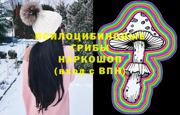 МДПВ Алексин