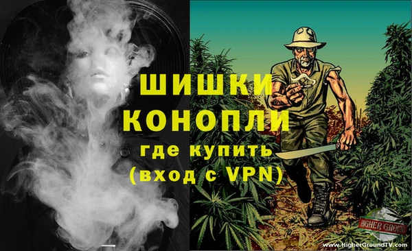 ГАЛЛЮЦИНОГЕННЫЕ ГРИБЫ Абаза