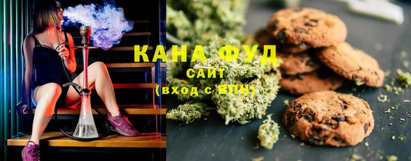 прущий лед Алзамай