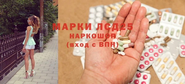 прущий лед Алзамай